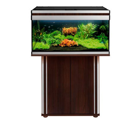 Аквариум Aquael Alu-decor с тумбой л 25700 рублей в супермаркетах Аква Лого!