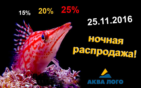 Aqualogo_night_sale2.jpg