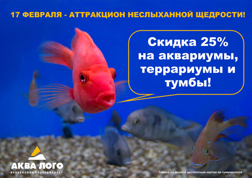 Attrakcion_neslihannoi_zhedrosti_v_super