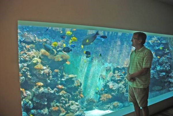 Домашний аквариум в 30000 литров АкваТерраНовости Аква Лого Инфо