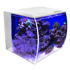 Аквариум Hagen Fluval Flex 34 литра 7850 рублей в супермаркетах Аква Лого!