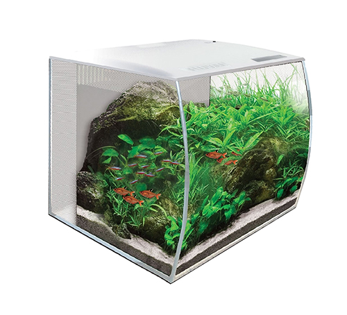 Аквариум Hagen Fluval Flex 34 л с изогнутым стеклом белый в Аква Лого