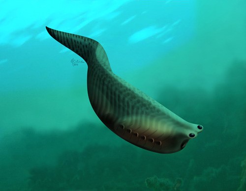 Самая первая рыба на Земле - АкваТерраНовости Аква Лого Инфо