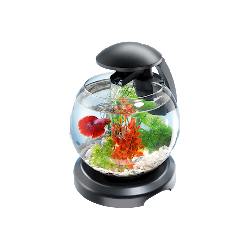 Аквариум Tetra Cascage Globe за 2950 рублей в супермаркетах Аква Лого!