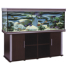 Anubias Better Better