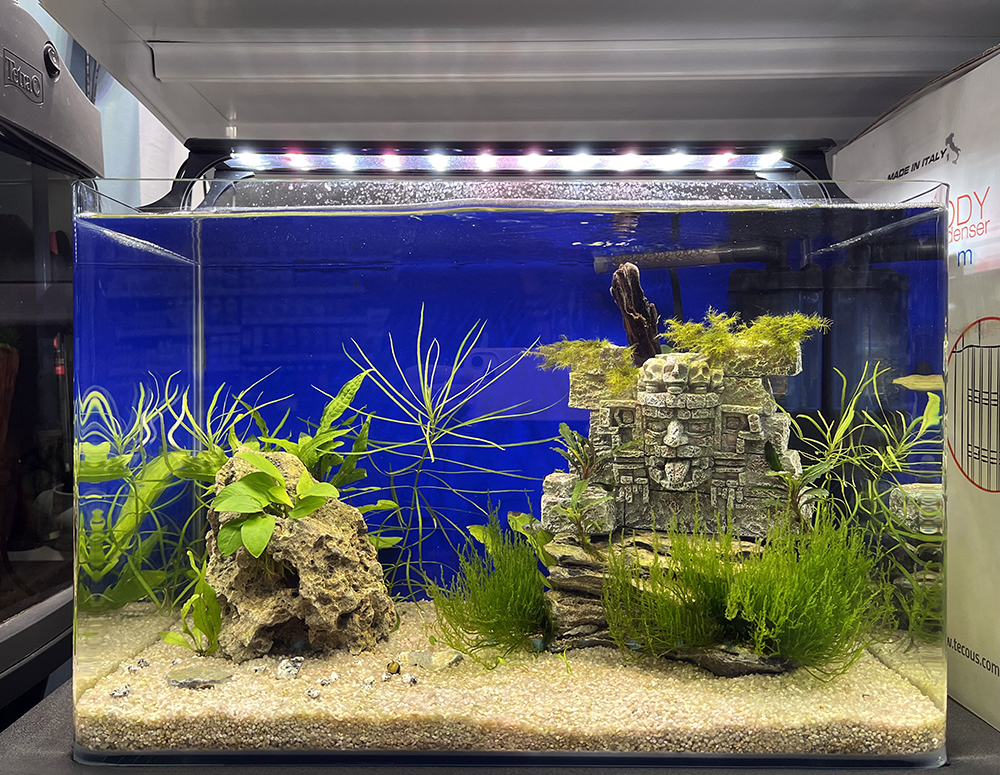Уход за аквариумом - аквариум с растениями