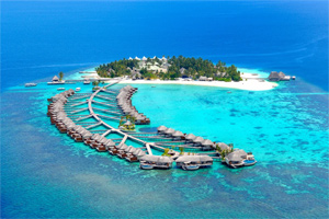 Подводный мир Мальдив. Кого можно встретить?
