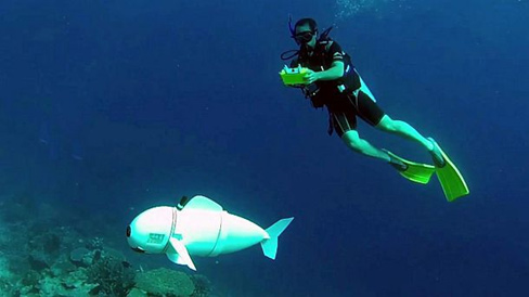 Рыба-робот для изучения подводного мира - Аква Лого Инфо