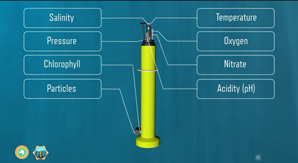 Автономные роботы-поплавки измеряют сезонные циклы дыхания океана