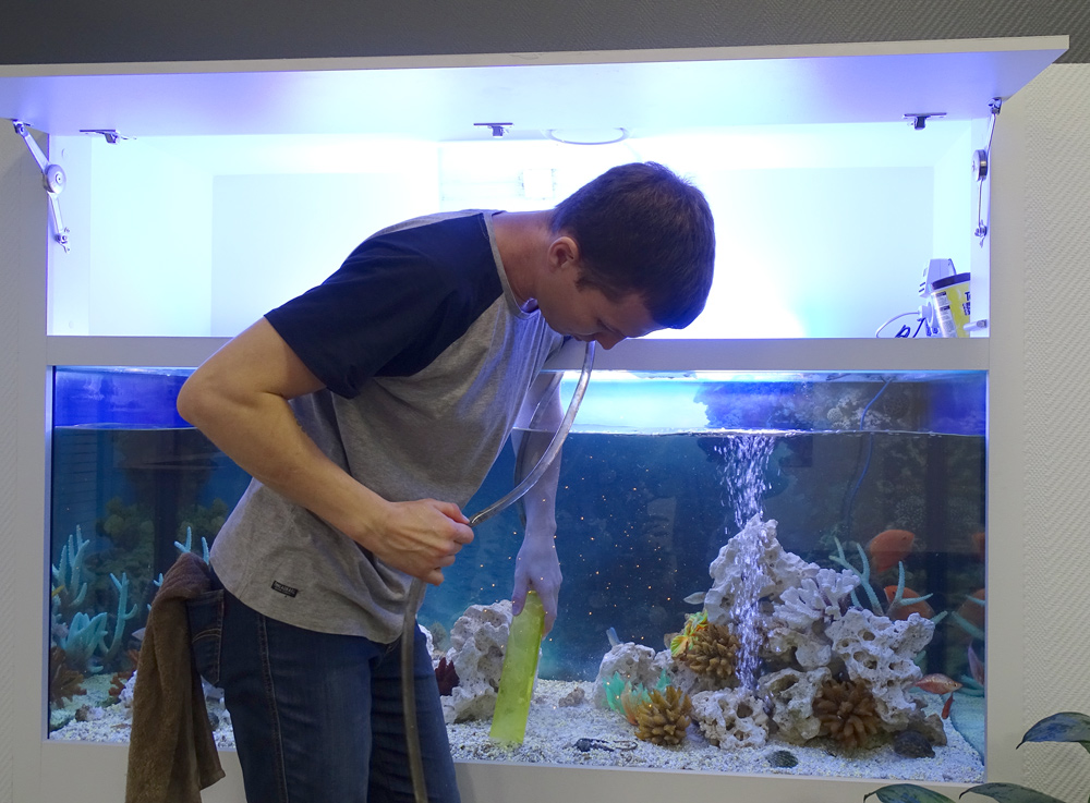 для чистки аквариума вам понадобится сифон, чтобы чистить грунт от отходов и подменивать воду
