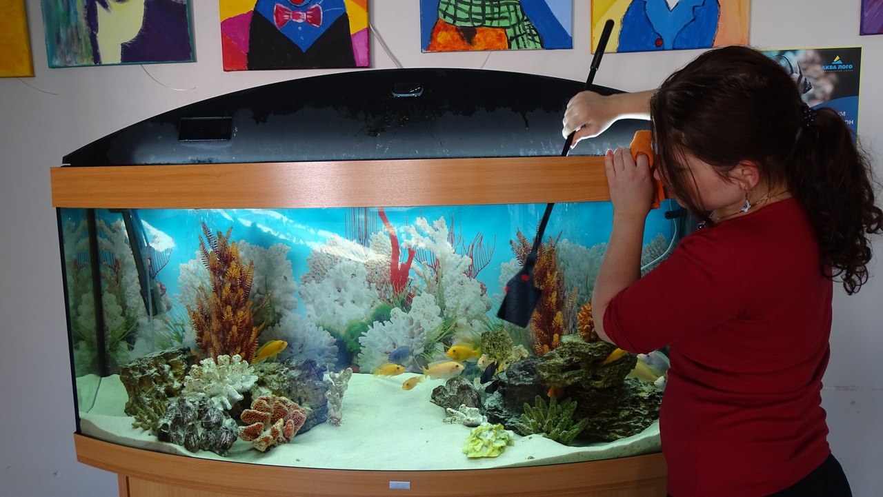 Чистка аквариума – чистим стенки