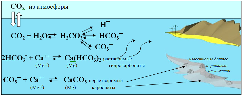 Основные физико-химические параметры морской аквариумной воды