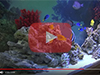 Новое морское оформление - видео на нашем канале Youtube