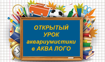 otkritiy_yrol_v_Aqua_logo.jpg