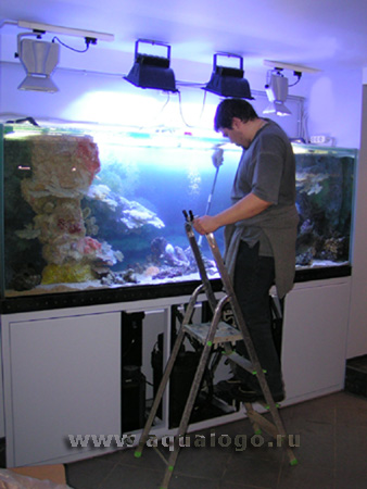 Оформление аквариума