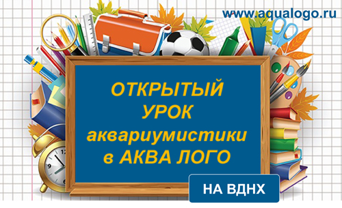 25 апреля 2015 года в Аква Лого на ВДНХ пройдет открытый урок аквариумистики