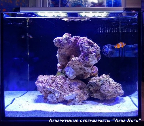 Морской аквариум - готовое решение КСЕНИЯ НАНОРИФ (40 литров)