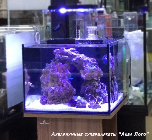 Морской аквариум - готовое решение ВРАТА МОРЯ (40 литров)