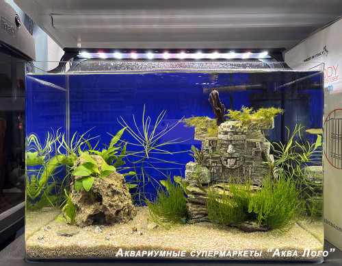 Готовое решение - Аквариум пресноводный  В долине Майя - объем аквариума 37 литров