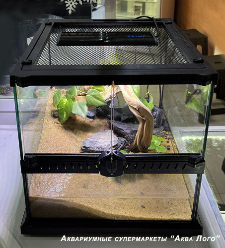 Готовое решение - акватеррариум - Дом для прыгуна. Габаритные размеры 30х30х30 см.