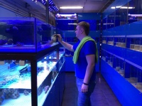 Менеджер супермаркета Борис Изотов у стойки с морскими гидробионтами