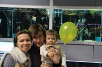 Семейное фото со скаляриями, маленькой арованой и шариком :-)