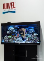 Морской аквариум с живыми кораллами традиционного немецкого качества - Juwel