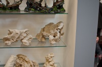 Рельефные ячеистые камни от Europet Bernina