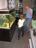 Жизнь аквариумных питомцев вызвала у ребят живой интерес, возникло много вопросов к экскурсоводу