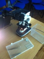 Электронный микроскоп и пинцеты - необходимое оборудование для работы