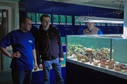 Зал продажи морских животных - Константин Моршнев и Юрий Хмелевский изучают стойку с кораллами