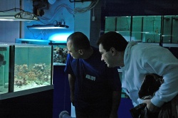 Главный инженер Аквариумного салона Николай Строчков с Константином Моршневым обсуждают особенности новой морской системы