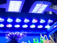 Ждем в декабре новую серию высококачественных светодиодных светильников от крупнейшего производителя освещения Китая Sunrise. Разработкой освещения для аквариумов у этого производителя занимается специальное подразделение