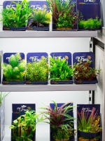 Искусственные декорации, имитирующие "кустики" живых аквариумных растений
