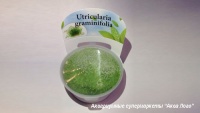 Пузырчатка траволистная меристемная  Utricularia graminifolia