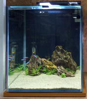 Пресноводный аквариум - готовое решение - Дубовый перевал. Объем аквариума 49 литров.