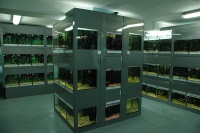 Зал с пресноводной рыбой: в ассортименте магазина более 600 видов