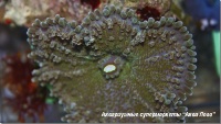 t_supermarket2012050414190402.jpg