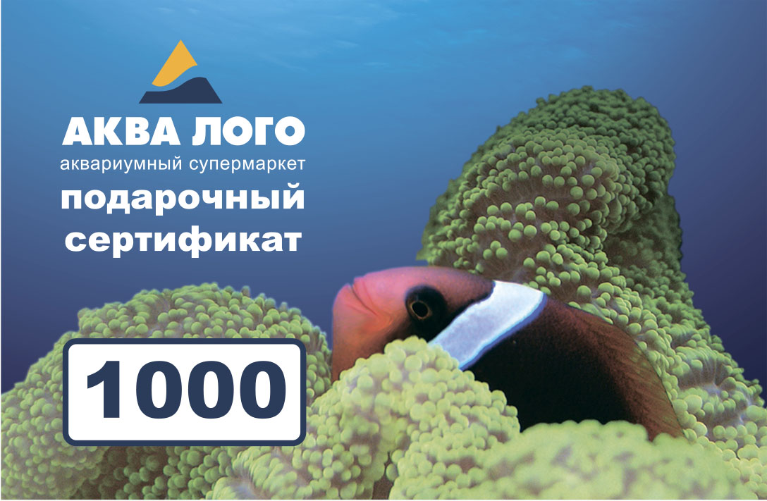 Подарочные сертификаты в супермаркетах Аква Лого!
