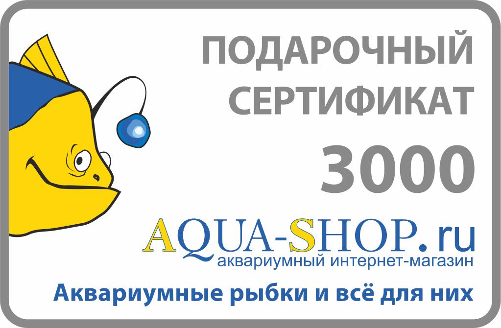 Aqua Shop Интернет Магазин