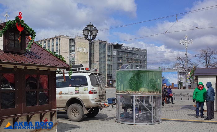 Главный аквариум фестиваля «Рыбна неделя» в Москве