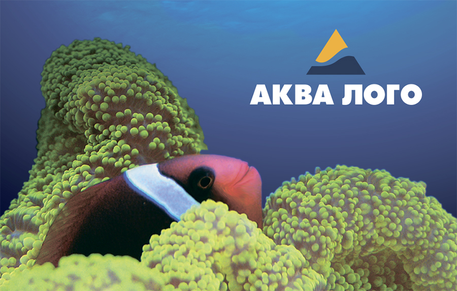 Выиграйте дисконтную карту Аква Лого 26 января!