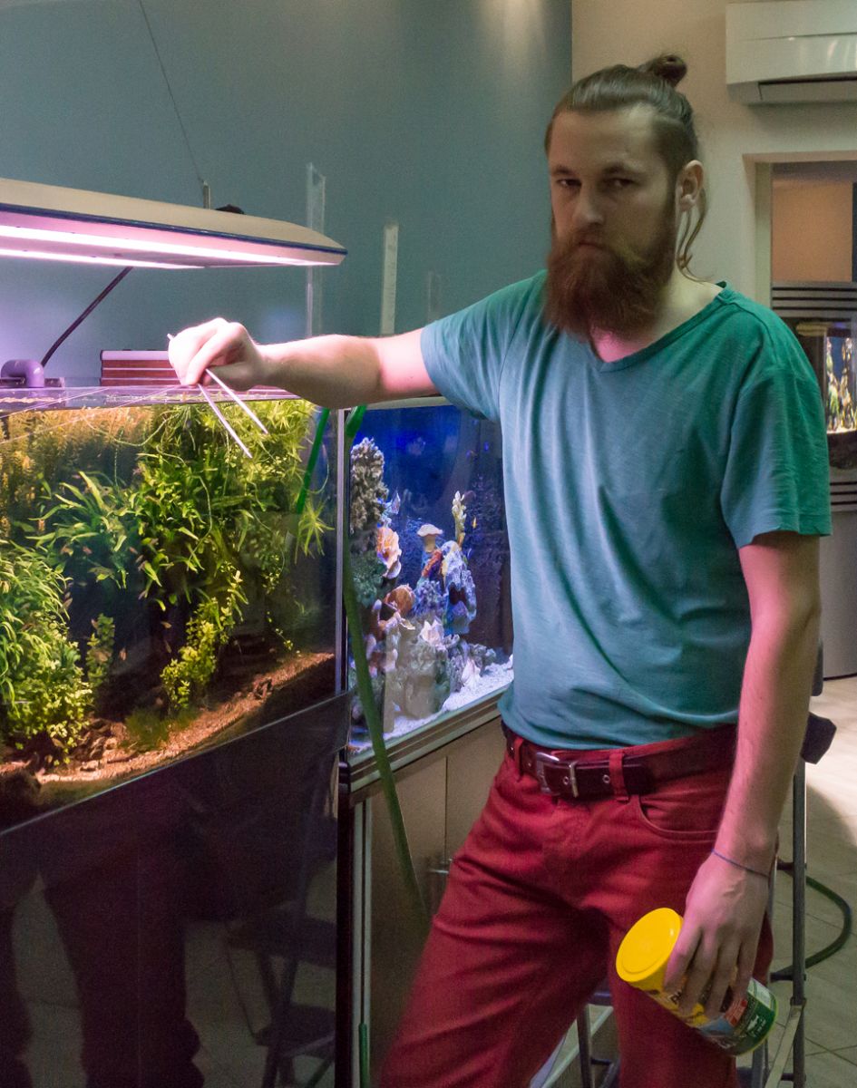 Мастер-класс Оптимальный аквариум с растениями