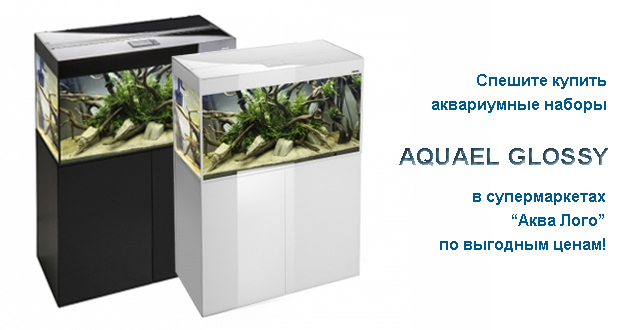 Аквариумы Aquael Glossy  в супермаркетах Аква Лого!