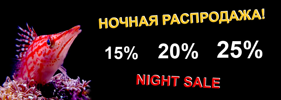 25 ноября в супермаркетах Аква Лого на Волжской и на Соколе пройдет ночная распродажа!
