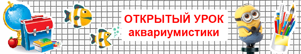 Открытый урок аквариумистики в Аква Лого на ВДНХ 16 сентября!