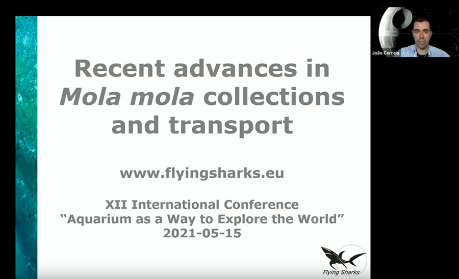 Joao Correia Flying Sharks (Португалия) – доклад - Последние достижения в области отлова, разведения и транспортировки луны-рыбы