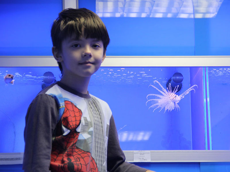 Бесплатные фото с рыбками в Аква Лого