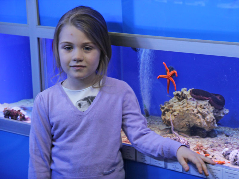 Бесплатные фото с рыбками в Аква Лого