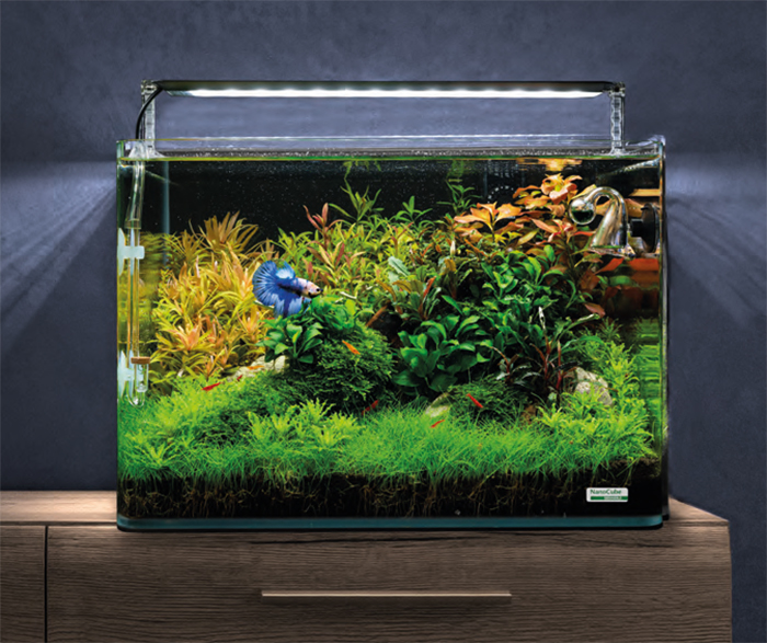 Новая линейка аквариумов Dennerle Nano Cube и Nano Tank в Аква Лого!